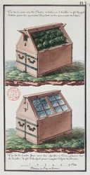 Illustration einer Kommode zum Transport von Pflanzen, aus dem Notizbuch des Künstlers während der Expedition von Jean-Francois Gallup de la Perouse (1741-88)